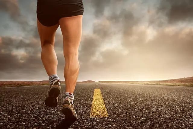 Best Fitness Shoes Buying Guide