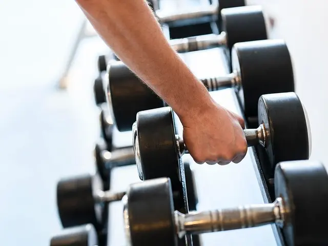 Best Basketball Training Aids - Top Choices for 2026